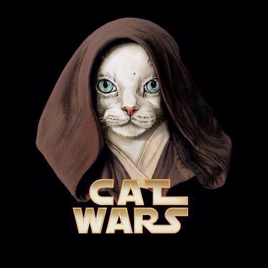 Cat wars - 2