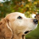 ���� �������, �������, 47 ��� - ��������� 21 ������� 2015 � ������ ���� ����������