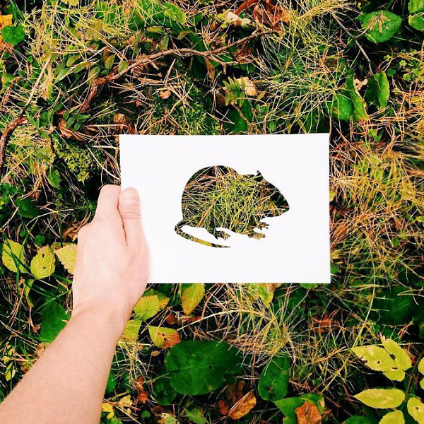 Художник, фотограф и журналист Николай Толстых создает сказочно красивые силуэты животных. Он ... - 4