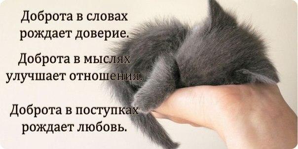   <a href=