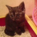 ���� �����, ����, 50 ��� - ��������� 25 ������� 2016 � ������ ���� ����������