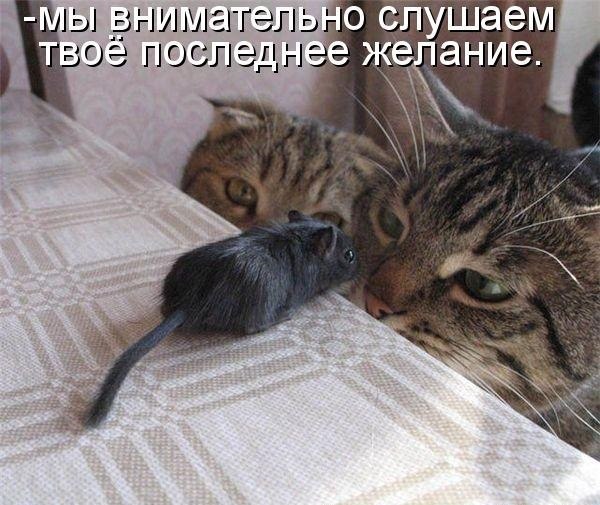       - 1  2015  15:31
