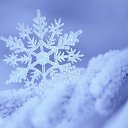 ���� ���, ������ - ��������� 14 ������ 2016 � ������ ���� ����������