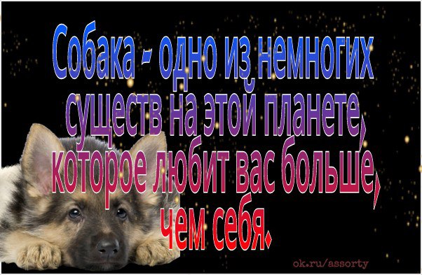   - 13  2016  13:19