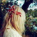 ���� ������, ������ ����� - ��������� 27 ������� 2015