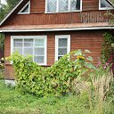 ���� ��������, �����-���������, 62 ���� - ��������� 15 ������� 2015 � ������ �����)))�