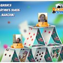���� �������, ��������� - ��������� 3 ����� 2016 � ������ �������� �������-�������