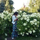 ���� ��������, �����-���������, 61 ��� - ��������� 30 ������ 2016 � ������ ���� ����������