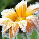  ••,  -  15  2015   