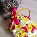 ������� �������� ��������... �� ������� ���� ����������