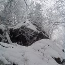 ���� �������, ������������, 37 ��� - ��������� 17 ������� 2015 � ������ ���� ����������