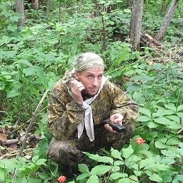 ���� ������, ���������, 53 ���� - ��������� 14 ������ 2016