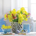 ���� �����, �����, 53 ���� - ��������� 7 ������� 2015 � ������ ���� ����������