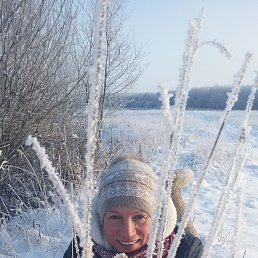 ������, ������� ����, 66 ���