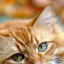 ���� �����, ����������� ����, 47 ��� - ��������� 22 ������� 2016