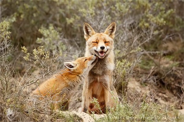       (Roeselien Raimond) - 5