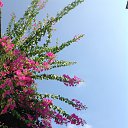 ���� ����, ������������ - ��������� 31 ������ 2016 � ������ ���� ����������