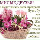���� ����, ��������, 68 ��� - ��������� 16 ������ 2015 � ������ ������ ��������