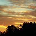 ���� �����, �����, 64 ���� - ��������� 12 ������� 2015 � ������ �"��������" �������� (1.10.2015)�