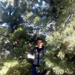 �������, �������������, 28 ���