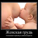 ���� �� �� ������� ���� ����������