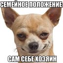���� �����, ��������������� - ��������� 20 ������� 2015 � ������ ������ ��������