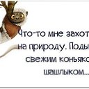 ���� ���, ������ - ��������� 29 ������� 2016 � ������ ���� ����������