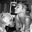 ���� ����������, ������ - ��������� 12 ������� 2016 � ������ ���� ����������