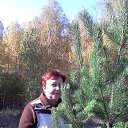 ���� Sergey, ������������ - ��������� 14 ������ 2015 � ������ ���� ����������