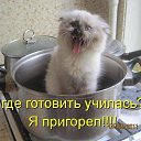 ���� ����, ������-��-����, 27 ��� - ��������� 27 ������ 2015