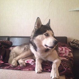 ���� �����, �����-���������, 47 ��� - ��������� 29 ������ 2016