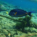  , , 59  -  16  2015    Ż