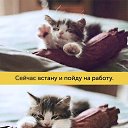 ���� �����, �������, 60 ��� - ��������� 10 ����� 2016 � ������ ���� ��������....�
