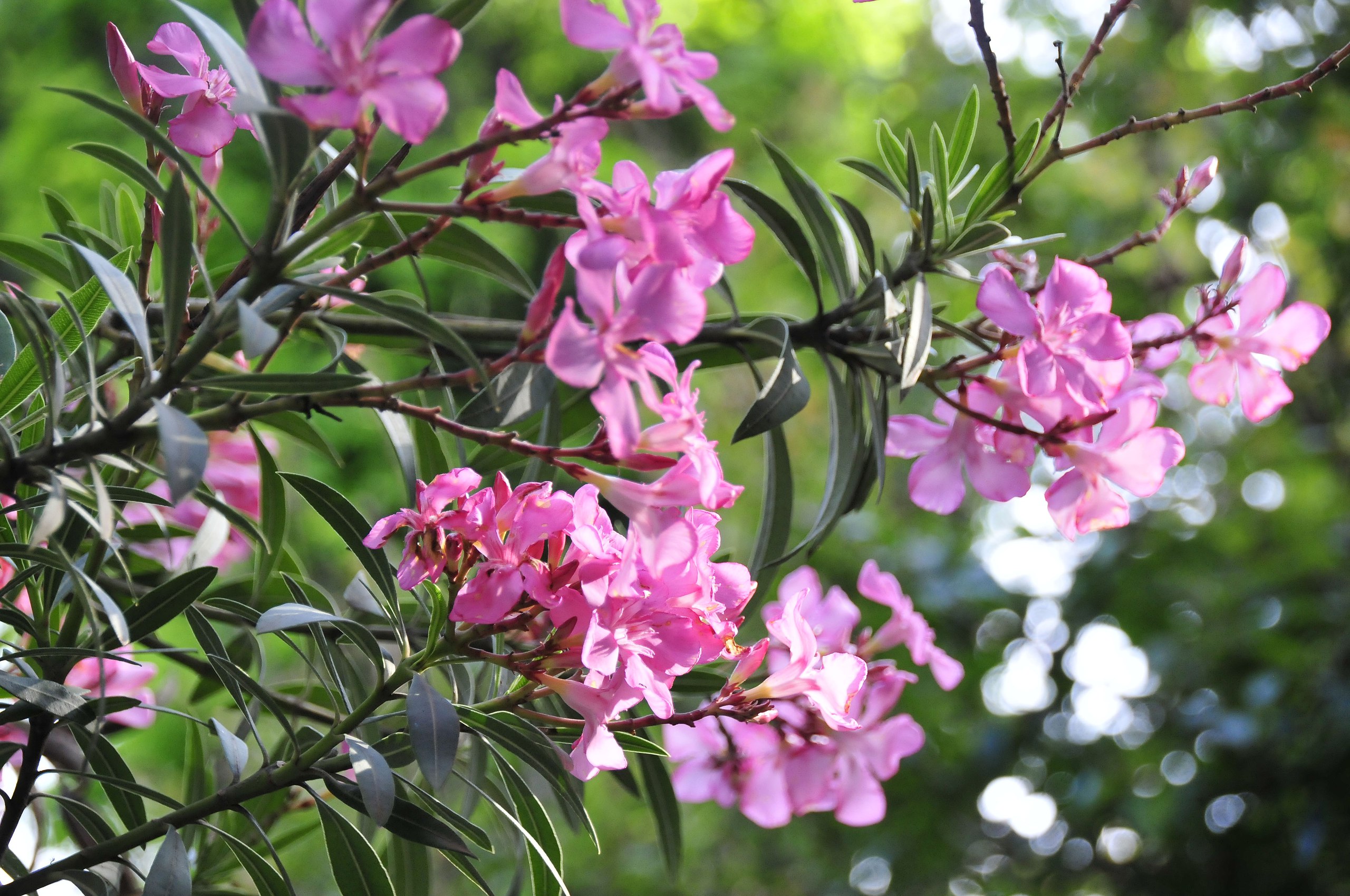   - 27  2016  22:51 - 44