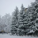  ,  -  9  2016    2016