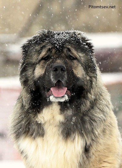 ������ ������ - 28 ������� 2015 � 15:27