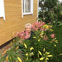 ���� �������, ������ - ��������� 27 ������� 2015 � ������ ���� ����������