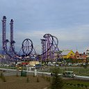  , , 59  -  1  2015     ޻