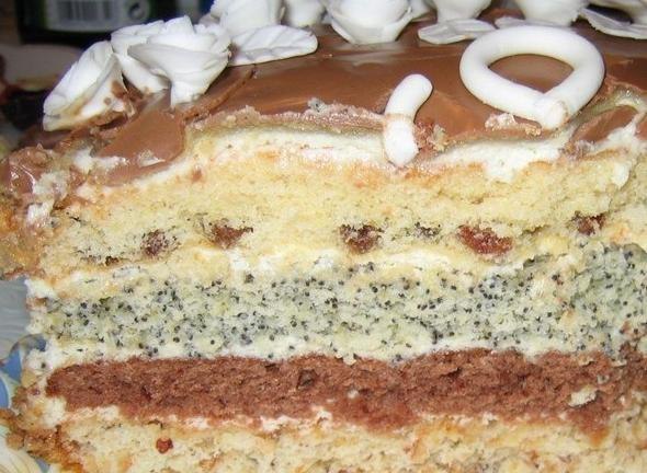 ���� �� ������ ����.������ ����� ������: � ������, �����, �����, ������������������:��� ������ ...