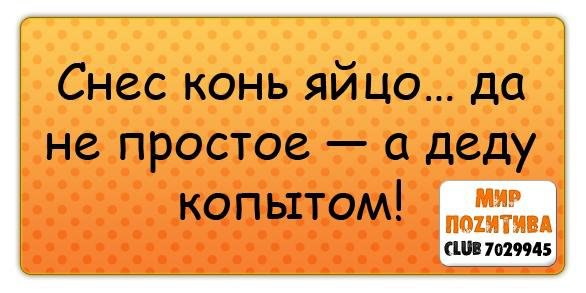   - 23  2015  21:46