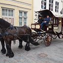 ���� Andrejs, ����������, 63 ���� - ��������� 24 ������� 2015 � ������ ���� ����������