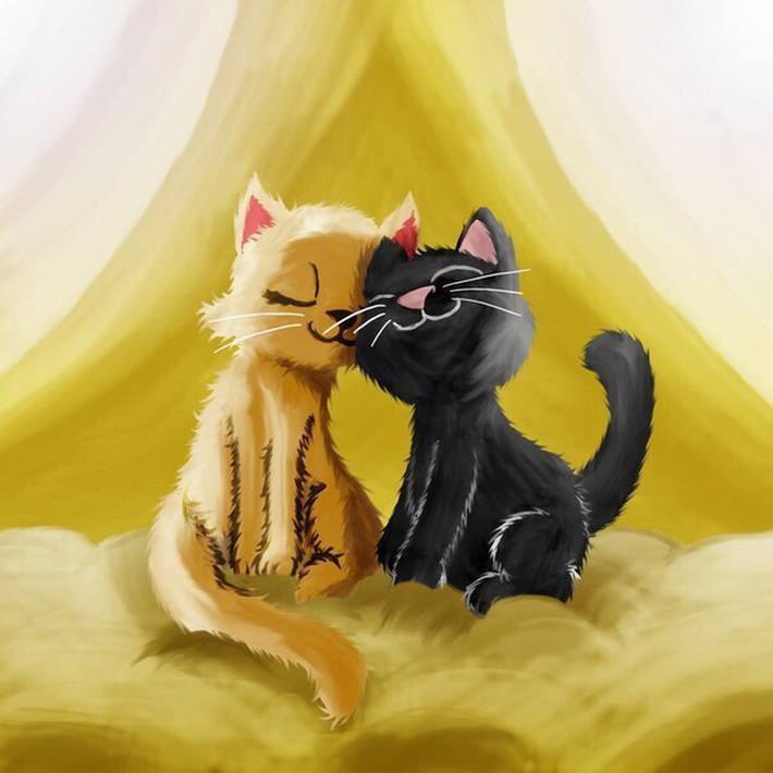 Кошки любовь. Влюбленный котик. Добрые статусы в картинках. Влюбленные кошки.