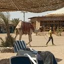 ���� ������, ���������, 45 ��� - ��������� 12 ������� 2015 � ������ �������....�������