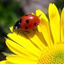  ,  -  18  2016     Ȼ