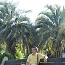 ���� ���������, ������ ��������, 37 ��� - ��������� 8 ������ 2016 � ������ ���� ����������