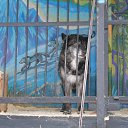 ���� �������, �������, 50 ��� - ��������� 13 ������� 2016 � ������ ���� ����������