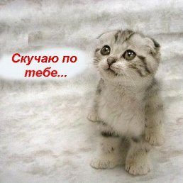 ���� �����, �������, 48 ��� - ��������� 26 ������� 2015