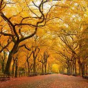 ���� �������, ����� - ��������� 28 ������� 2015 � ������ ���� ����������