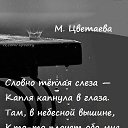 ���� ������., �������� - ��������� 7 ������ 2016 � ������ ������ ��������