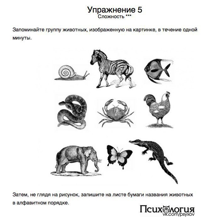 Занятия тренировка памяти. Упражнения для тренировки памяти. Упражнения для улучшения памяти и внимания. Упражнение на запоминание памяти. Упражнения для тренировки памяти у пожилых людей.